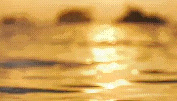 特朗普支持TikTok继续运营,最多可以延期三个月?