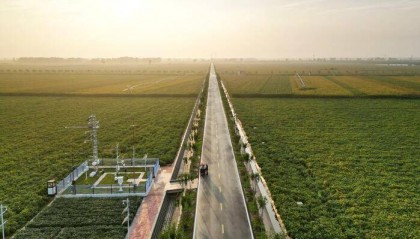 “破土”“换道”“出圈”——多样数据折射河南经济“向新力”