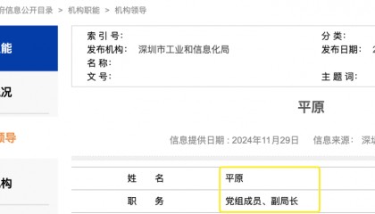 曾因“一撮白发”走红的深圳女副区长，有了新身份