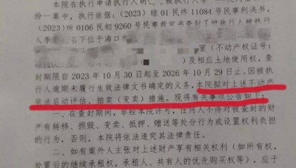 男子在海南的空置房产差点被“乌龙法拍”！法院致歉：被执行人与房主同名同姓，已纠正