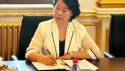 官方披露：施佰芝涉嫌严重违法犯罪