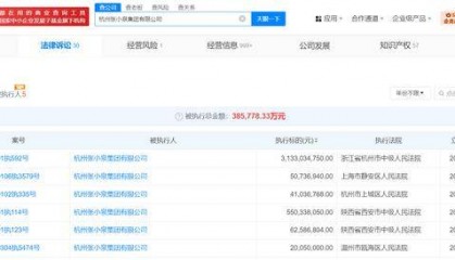 张小泉集团及法人等被执行31.3亿,已被限制高消费