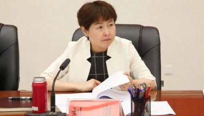 副市长刘岚，任上被查