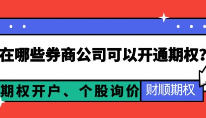 投资者交易期权在哪些券商公司可以开通期权？