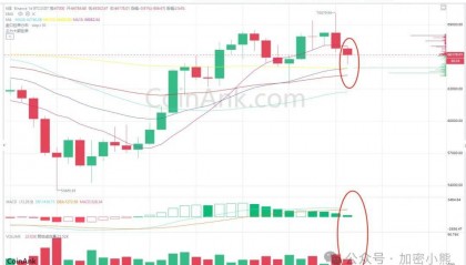 比特币多空双杀：八月能否迎来新高？山寨季即将来临，以下这些币要关注起来了