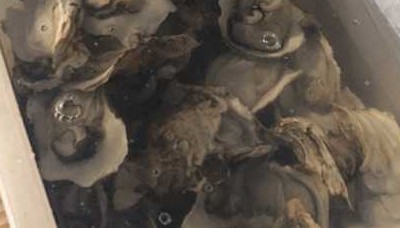 烧烤了5小时,一行五人吃了90只生蚝意犹未尽,话说这厉害吗