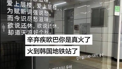中国游客竟在韩国地铁站看到了辛弃疾的《丑奴儿》，打卡者：还有李白和杜牧的作品
