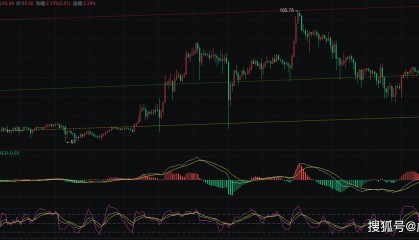 币圈院士:莱特币行情深度解析,如何布局及应对市场变化?
