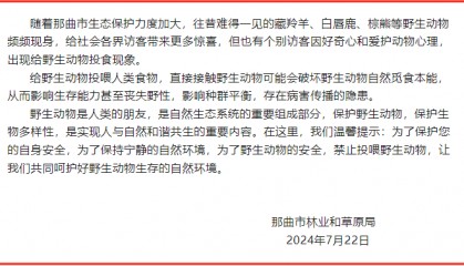 爱我就别投喂我!| 西藏那曲发布公告:禁止投喂野生动物