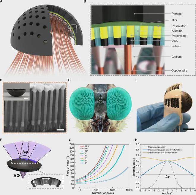 Science Robotics刊发！香港科技大学开发新型仿昆虫复眼系统 性能表现卓越