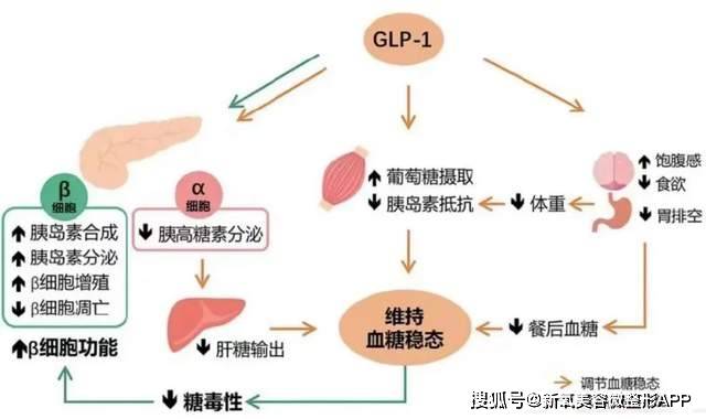 从内娱妲己到人形骷髅？她真是被娱乐圈吸干了吧