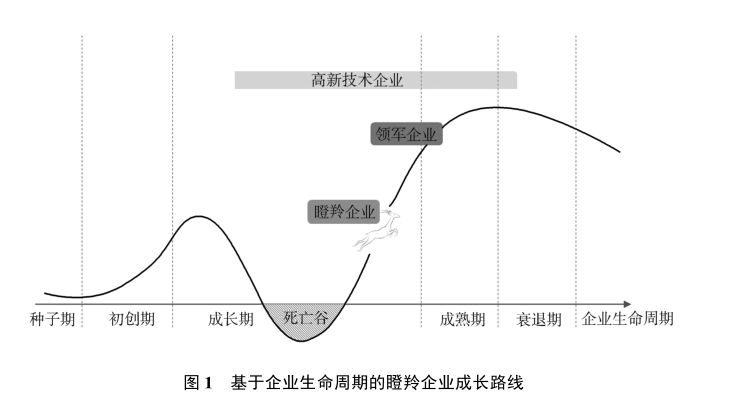 政府工作报告中的新词“瞪羚企业”，是什么意思