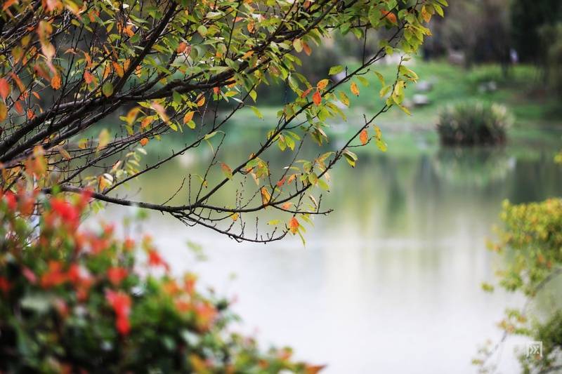 瞰贵州丨湖畔藏尽秋意浓