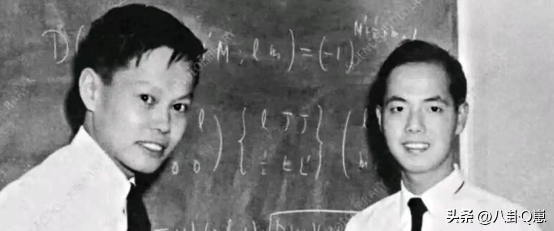 不查不知道，一查吓一跳！杨振宁的弟弟杨振汉，人生活的这么精彩