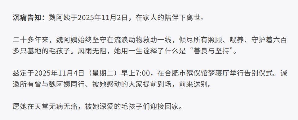 合肥卖房救助流浪狗的魏阿姨离世，病中仍然惦记着基地的600只流浪狗，工人：不敢相信世上还有这样执着的人