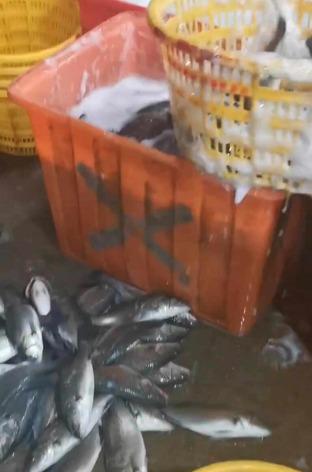 水产市场“麻醉鱼”调查 目前国内尚未明确产品残留剂量标准