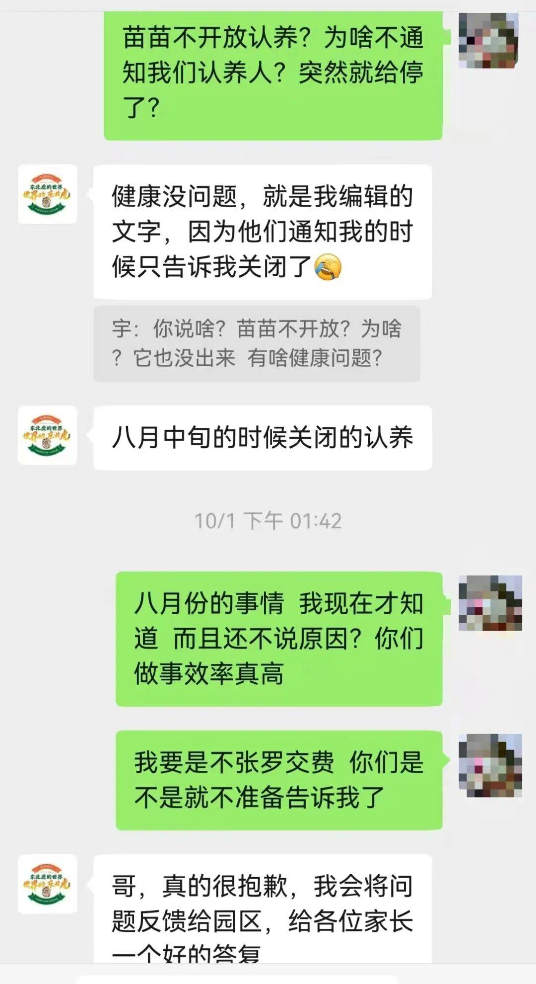 认养东北虎两年，续费时才知道老虎已死亡