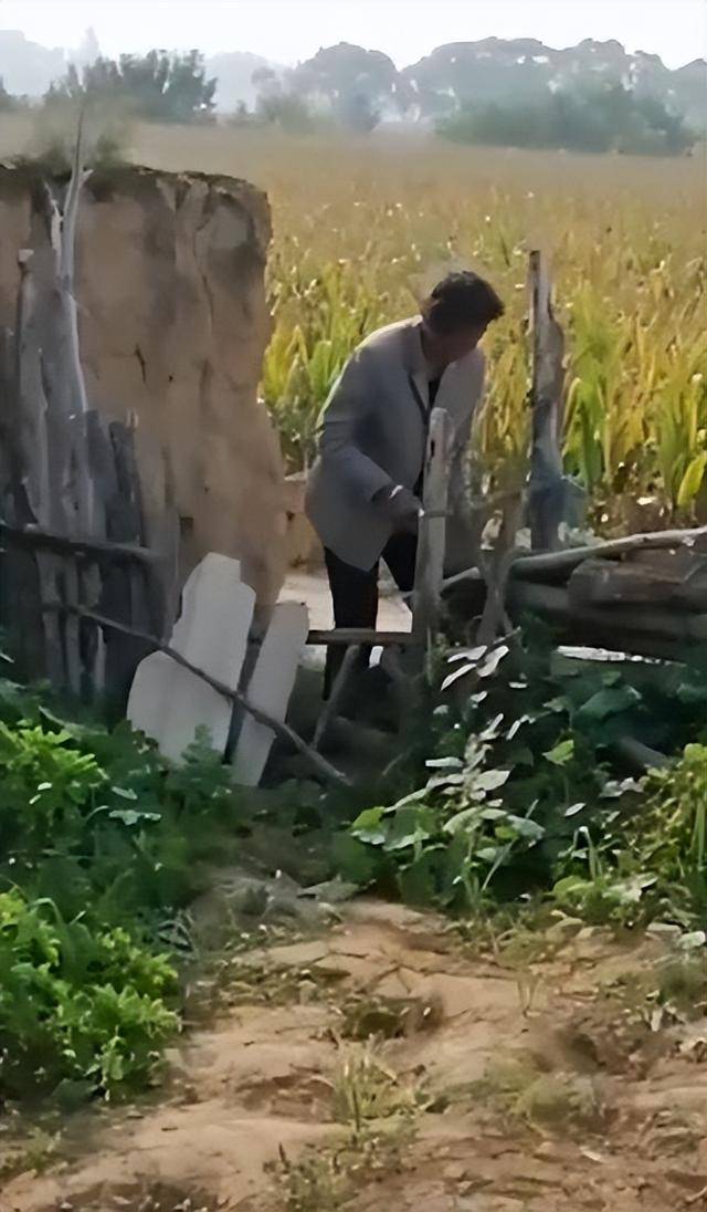 女子疑因拍亲姑姑偷玉米遭姑父棍杀，邻居欲报警也遇害