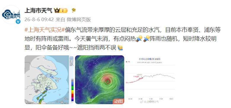 确认了!台风外围即将影响上海!网友急了:千万别给“沪牌”,又不懂事了…