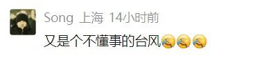 确认了!台风外围即将影响上海!网友急了:千万别给“沪牌”,又不懂事了…