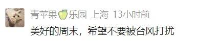确认了!台风外围即将影响上海!网友急了:千万别给“沪牌”,又不懂事了…