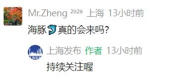 确认了!台风外围即将影响上海!网友急了:千万别给“沪牌”,又不懂事了…